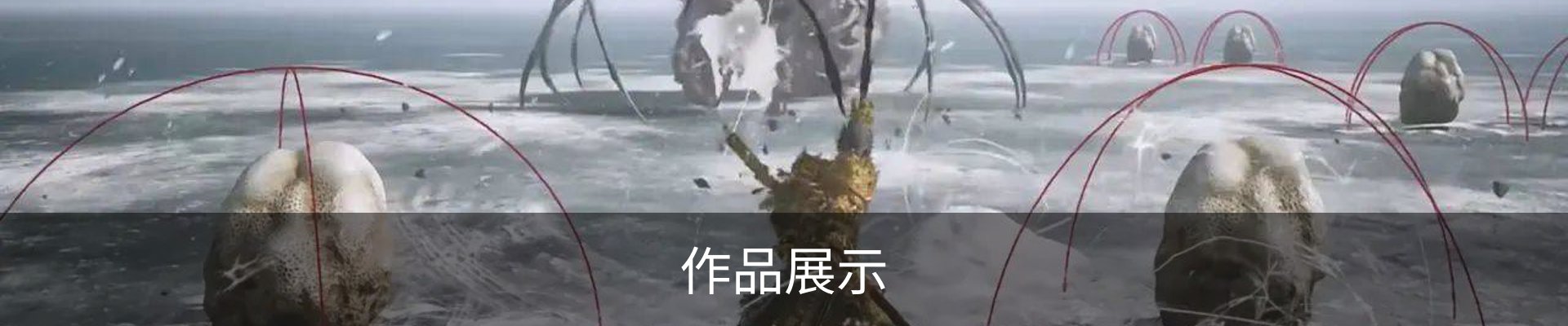 作品展示